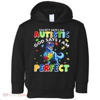 Society Says I'm Autistic God Says I'm Perfect Autism Funny Toddler Hoodie thumb 0