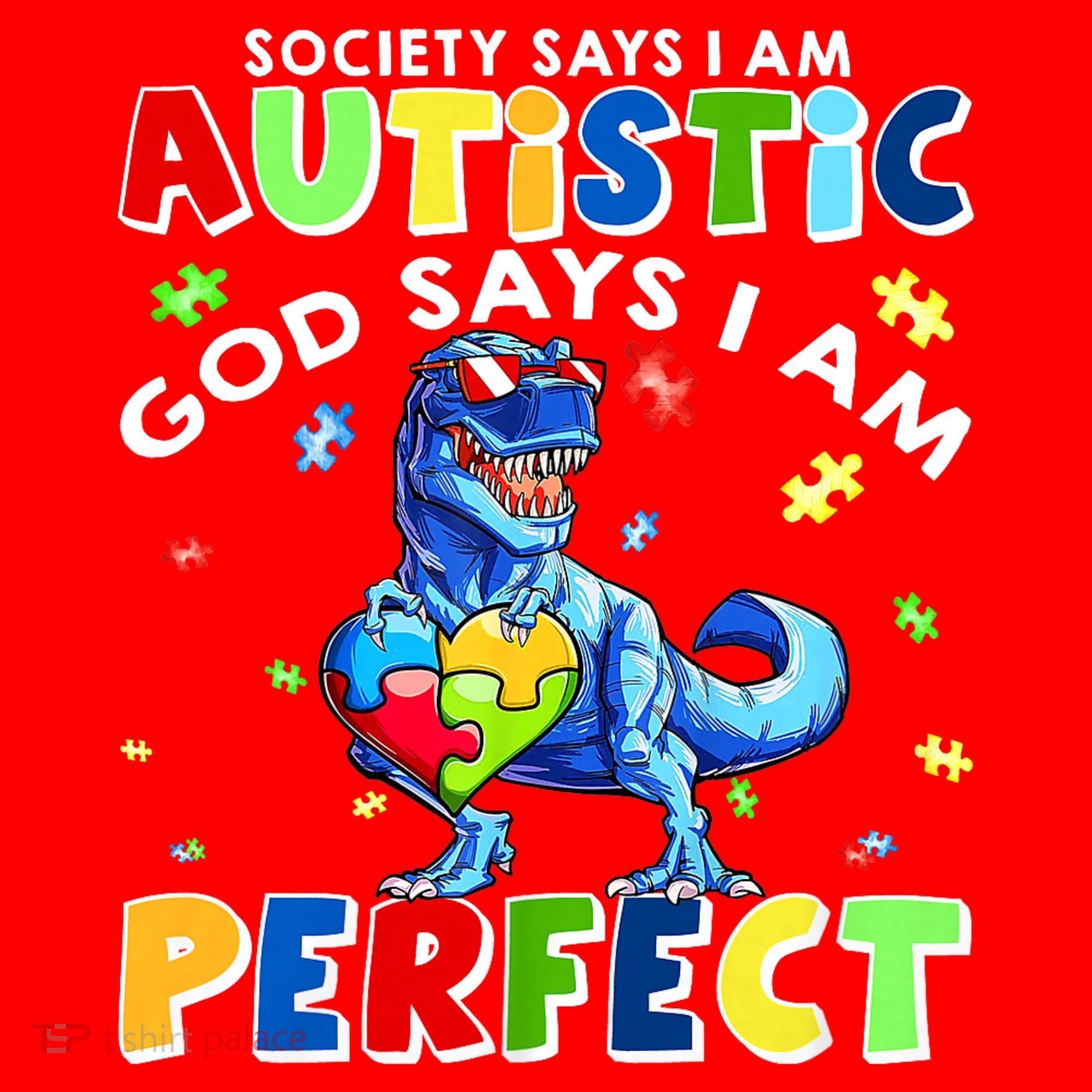 Society Says I'm Autistic God Says I'm Perfect Autism Funny Santa Hat