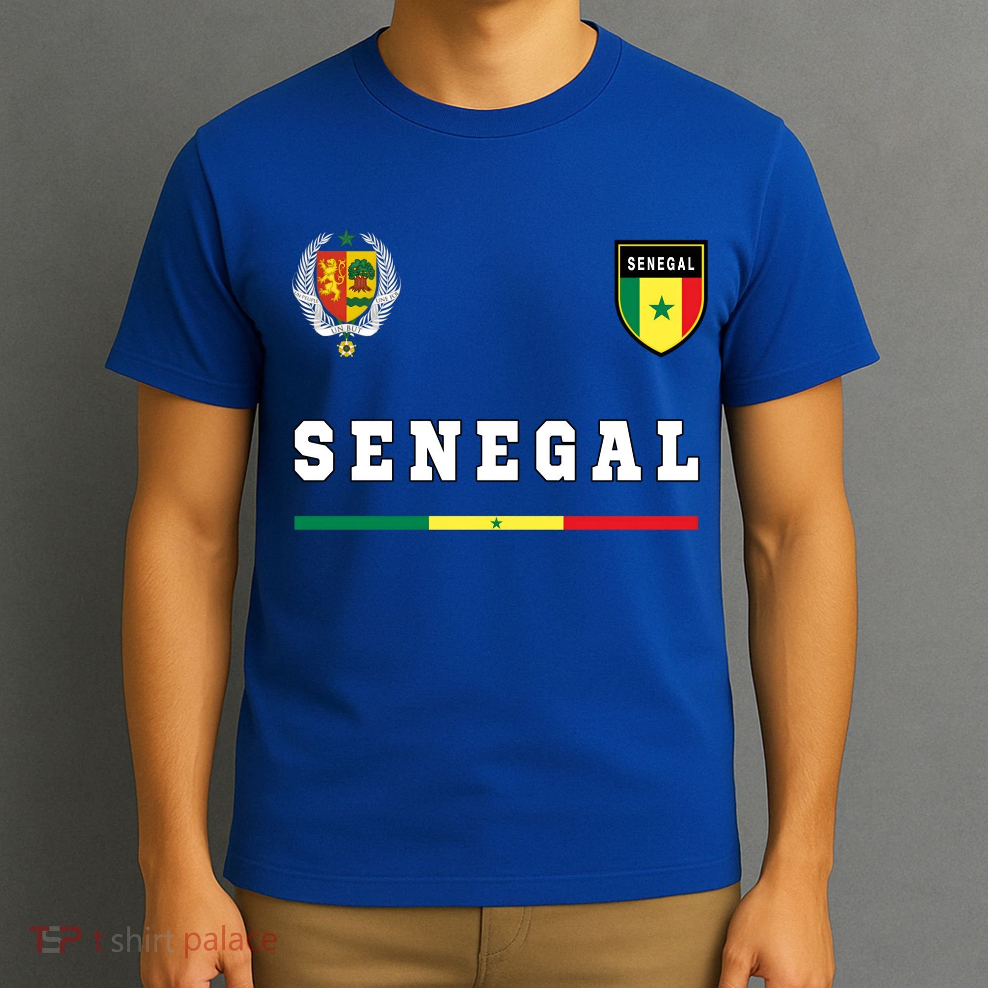 Senegal Sport/soccer Jersey Tee Flag Football Dakar Gift T-Shirt