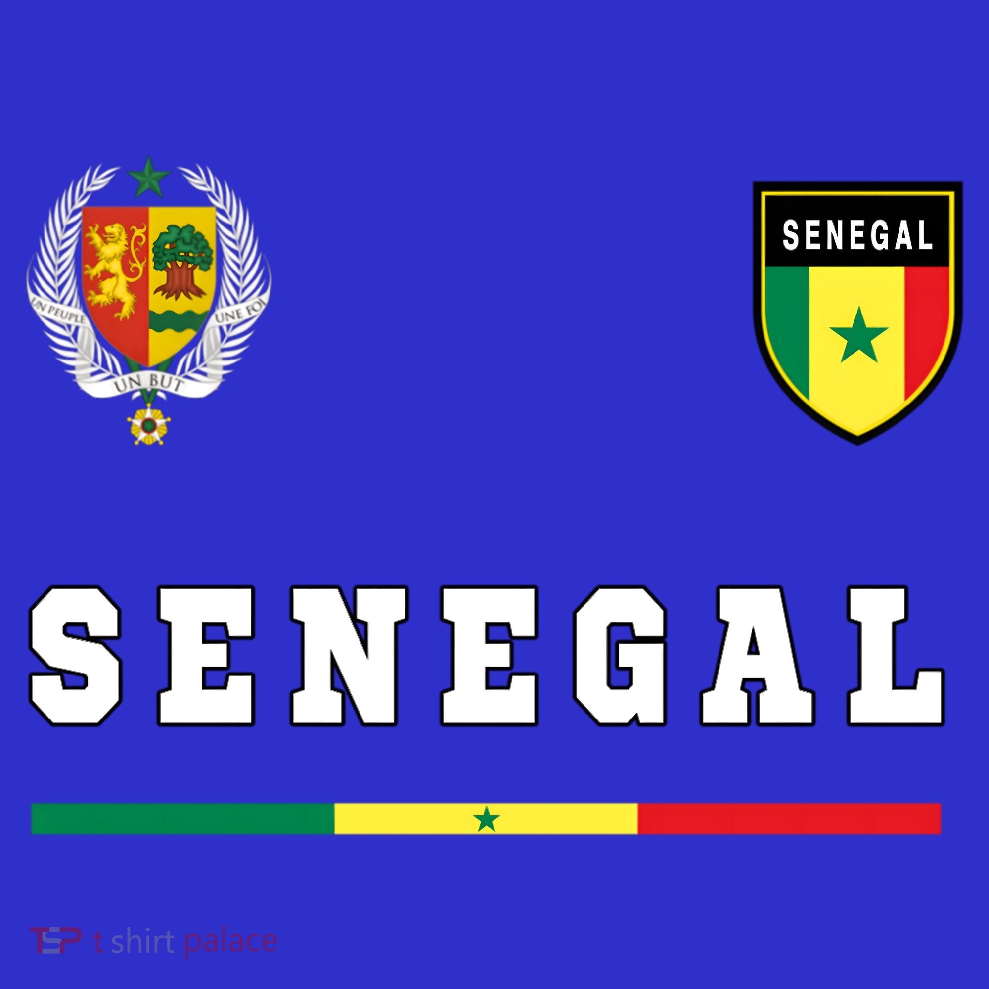 Senegal Sport/soccer Jersey Tee Flag Football Dakar Gift T-Shirt