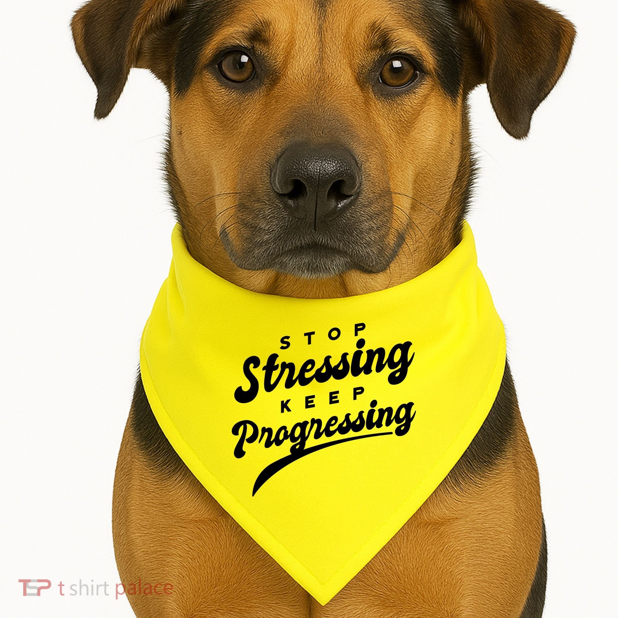 Stop Stressing Keep Progressing Quote USA-Made Doggie Bandana