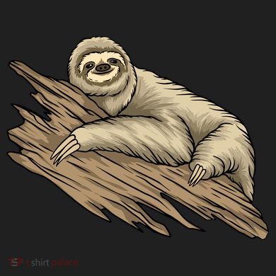 Sloth Zone Performance Long-Sleeve T-Shirt