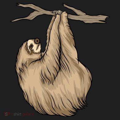 Sloth Women's Cooling Performance Crew T-Shirt