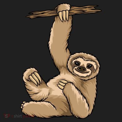Sloth District V.I.T. Heavyweight Hoodie