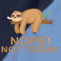 Sloth Raglan Baseball Sleeve Shirt thumb 2