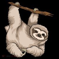 Sloth T-Shirt thumb 7