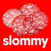 Slommy Salami Meme Oddly Specific Funny Memes Internet Memes Santa Hat thumb 1