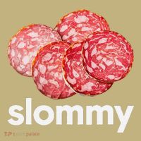 Slommy Salami Meme Oddly Specific Funny Memes Internet Memes T-Shirt thumb 7