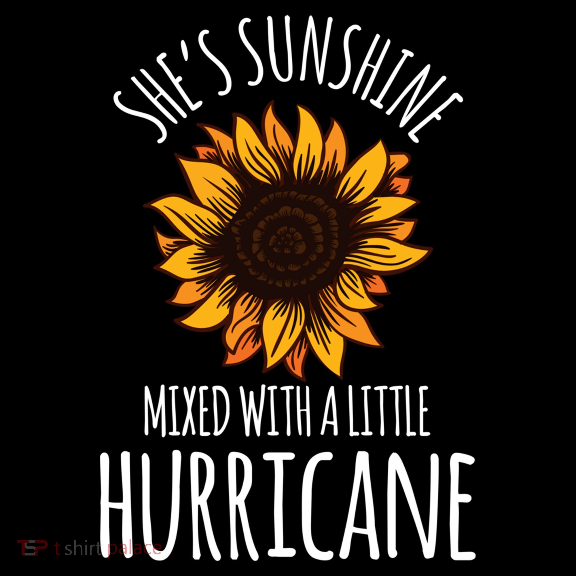 She's Sunshine Mixed With A Little Hurricane Funny Summer Great Gift Women's Hoodie