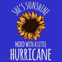 She's Sunshine Mixed With A Little Hurricane Funny Summer Great Gift T-Shirt thumb 7