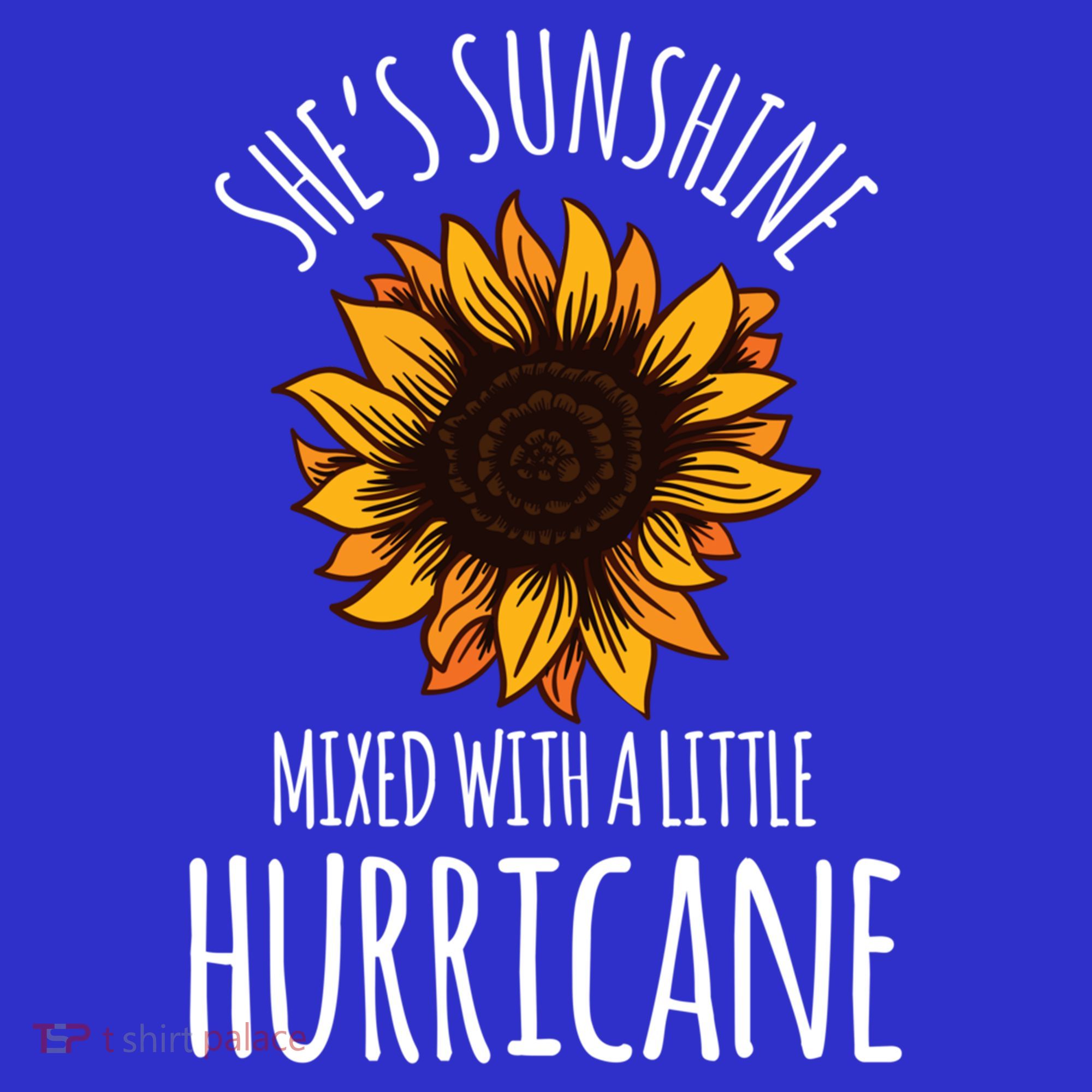 She's Sunshine Mixed With A Little Hurricane Funny Summer Great Gift T-Shirt