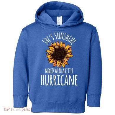 She's Sunshine Mixed With A Little Hurricane Funny Summer Great Gift Toddler Hoodie