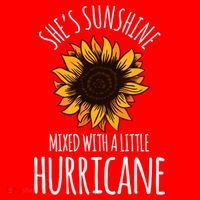She's Sunshine Mixed With A Little Hurricane Funny Summer Great Gift Santa Hat thumb 1