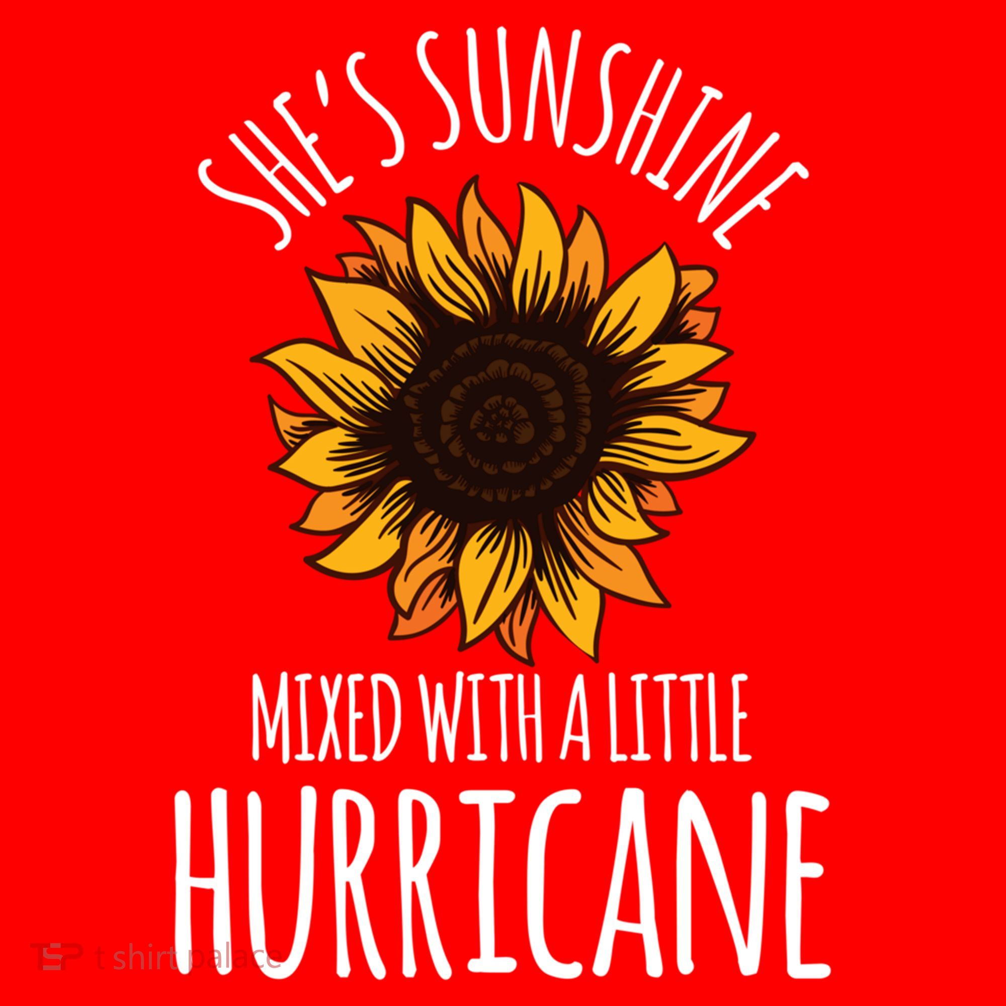 She's Sunshine Mixed With A Little Hurricane Funny Summer Great Gift Santa Hat