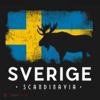 Sverige Scandinavia Midsommar Swedish Flag Sweden Bucket Hat thumb 4