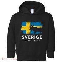Sverige Scandinavia Midsommar Swedish Flag Sweden Toddler Hoodie thumb 0