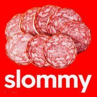 Slommy Salami Meme Oddly Specific Funny Memes Internet Memes Santa Hat thumb 1