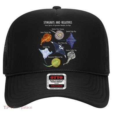 Stingray Species Manta Ray River Stingray And More Hat