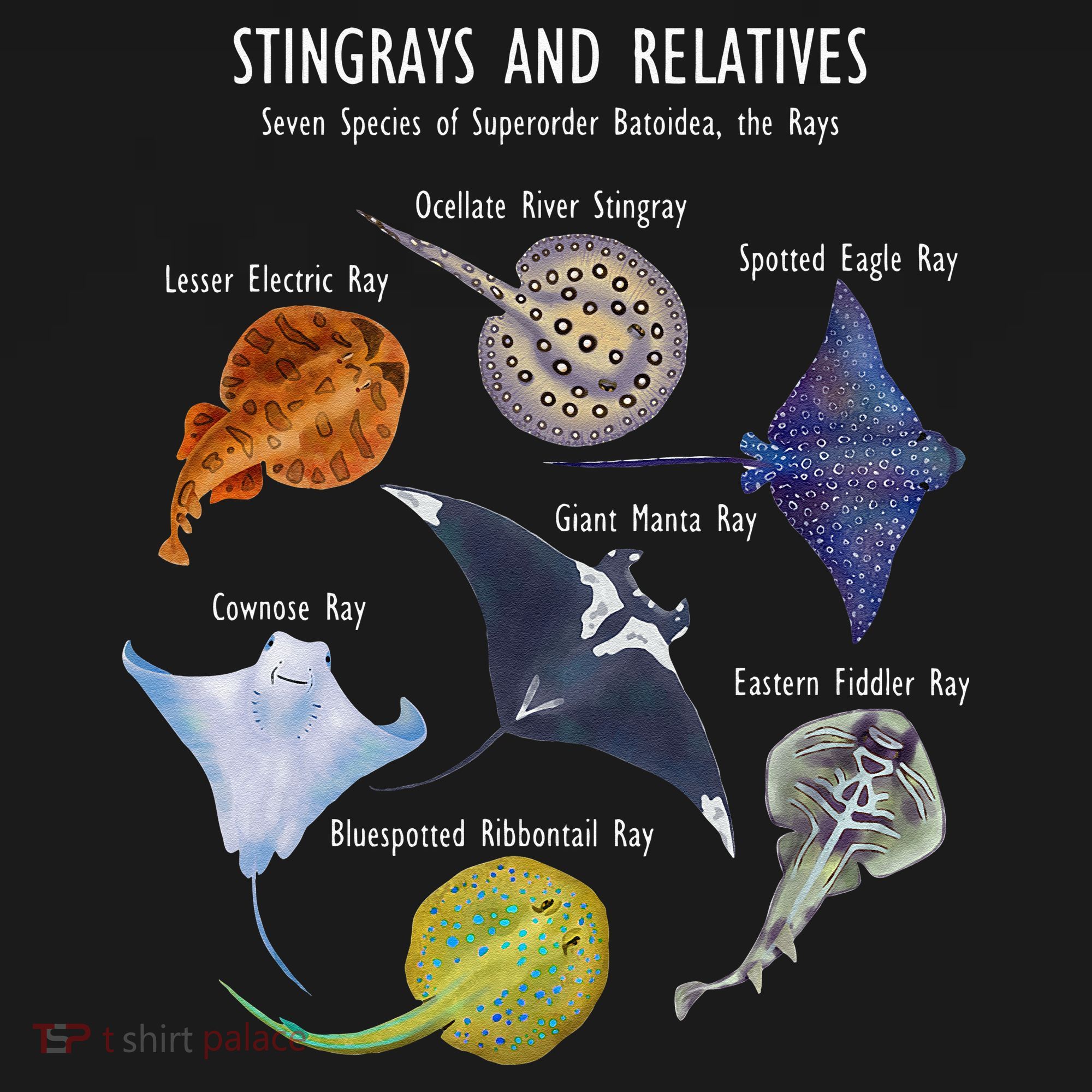 Stingray Species Manta Ray River Stingray And More Toddler Hoodie