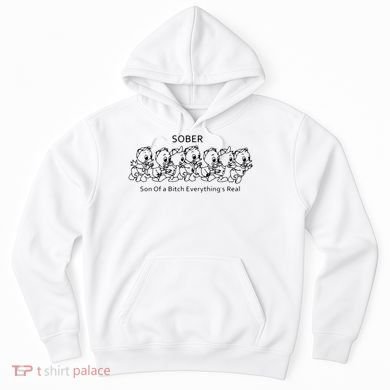 Sober Son Of A Bitch Everything's Real Hoodie