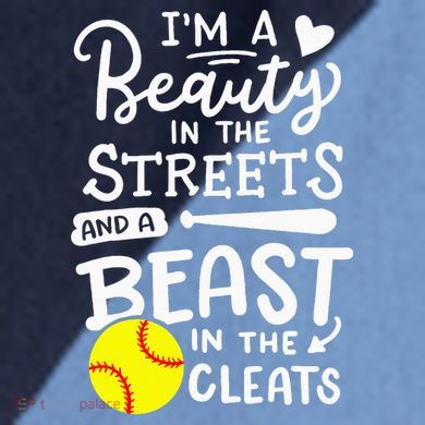Softball Softball Player Raglan Baseball Sleeve Shirt