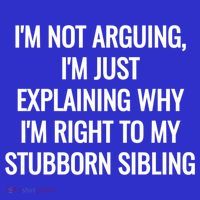 Sarcastic Siblings Quote Family Dynamics Gift Toddler Hoodie thumb 2