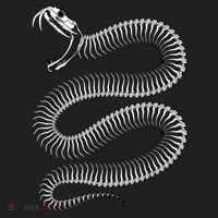 Snake Skeleton Reptile Python Cobra Herpetologist Beanie thumb 2