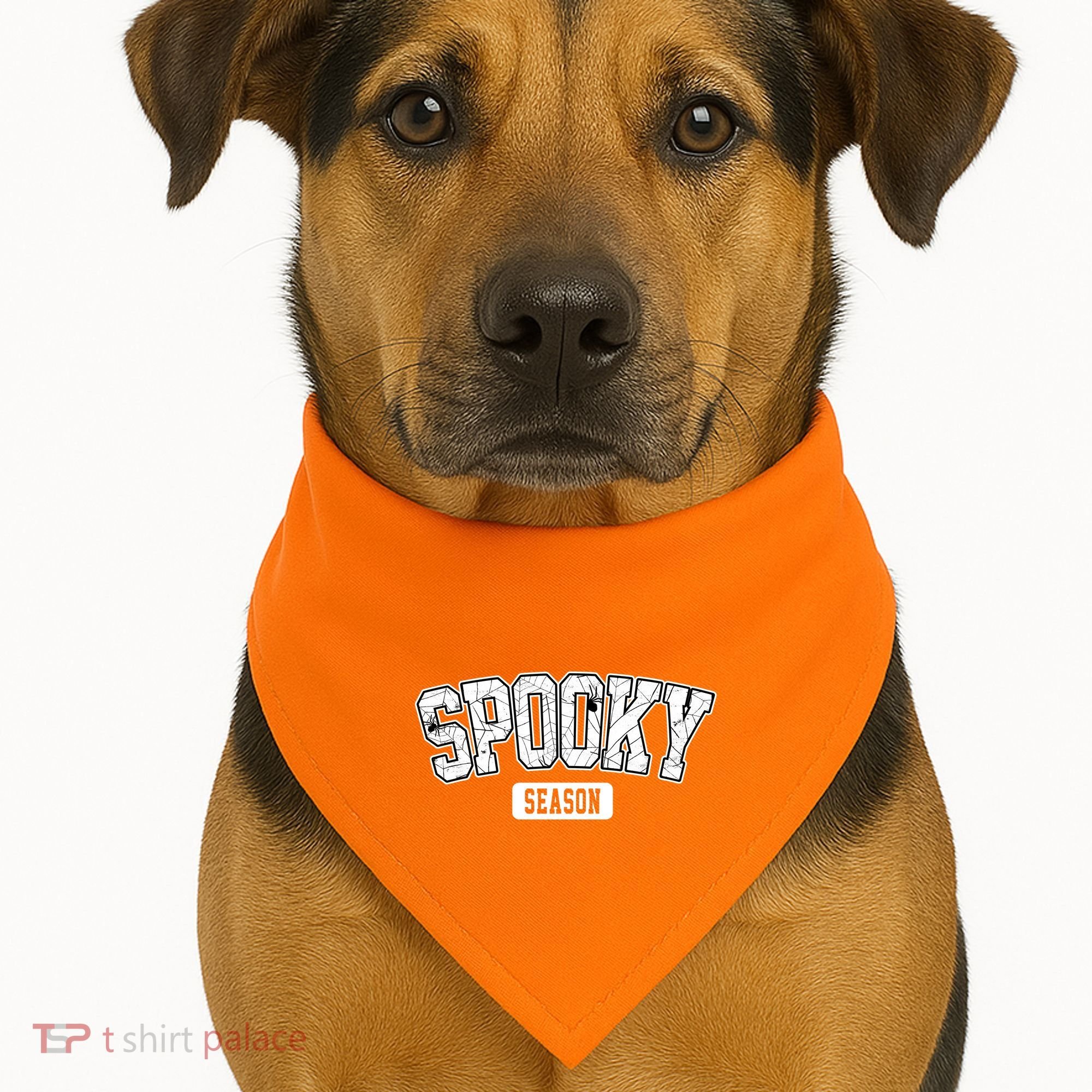 Spooky Season Retro Halloween USA-Made Doggie Bandana