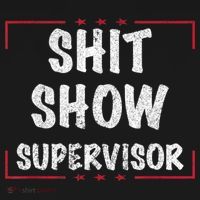 Shit Show Supervisor, Funny Dad Mom Boss Teacher Present Ornament thumb 1