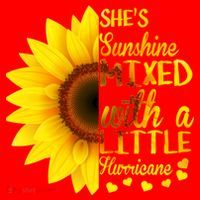 She Sunflower Sunshine Mixed With A Little Hurricane Gift Santa Hat thumb 1