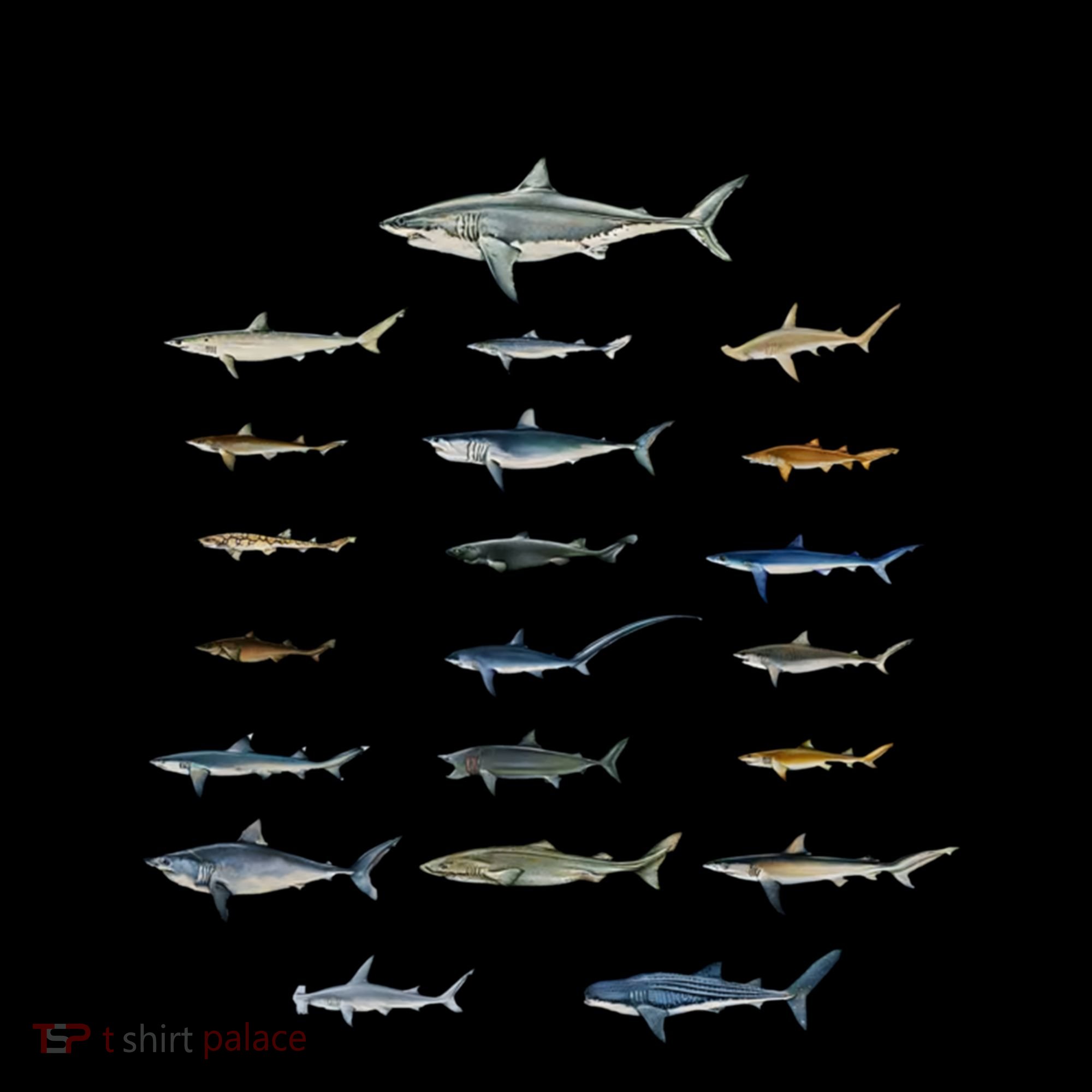 Shark Species Shark Faces Ocean Animal Lovers Cute Gift Coffee Mug