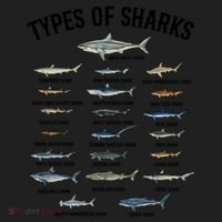 Shark Species Shark Faces Ocean Animal Lovers Cute Gift Hat thumb 2