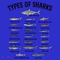 Shark Species Shark Faces Ocean Animal Lovers Cute Gift T-Shirt thumb 7