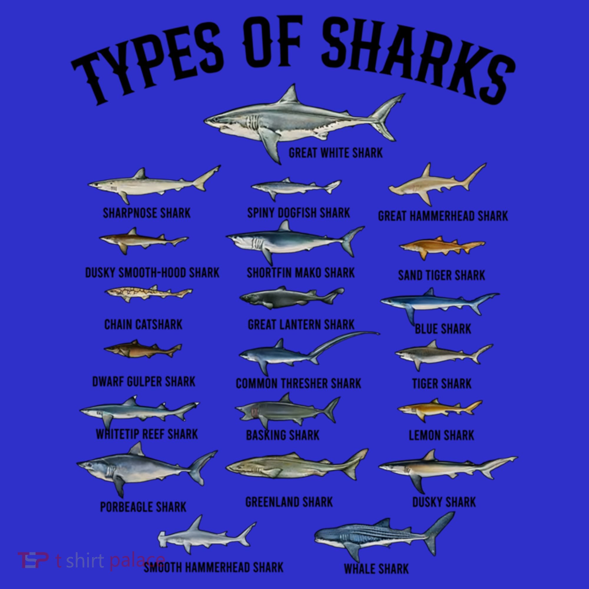 Shark Species Shark Faces Ocean Animal Lovers Cute Gift T-Shirt