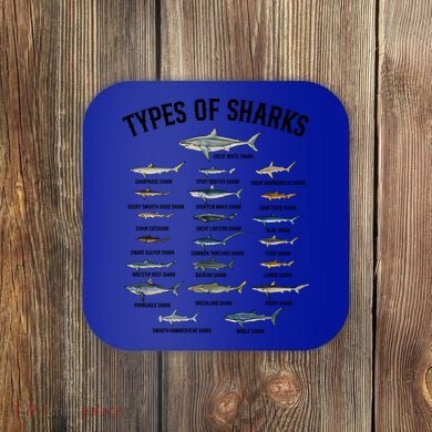 Shark Species Shark Faces Ocean Animal Lovers Cute Gift Coaster