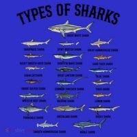 Shark Species Shark Faces Ocean Animal Lovers Cute Gift Kids T-Shirt thumb 4