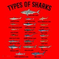 Shark Species Shark Faces Ocean Animal Lovers Cute Gift Santa Hat thumb 1