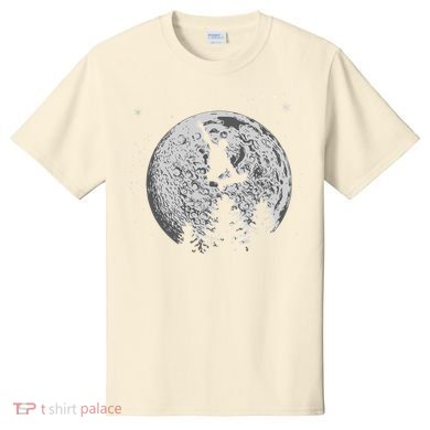 Skater Skateboarder Skateboard Moon Skateboarding Gift T-Shirt