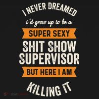 Shit Show Supervisor Funny Men Women Sarcastic Retro Novelty Ornament thumb 1