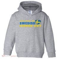 Swedish Sweden Swedish Flag Sweden Roots Sweden Toddler Hoodie thumb 0
