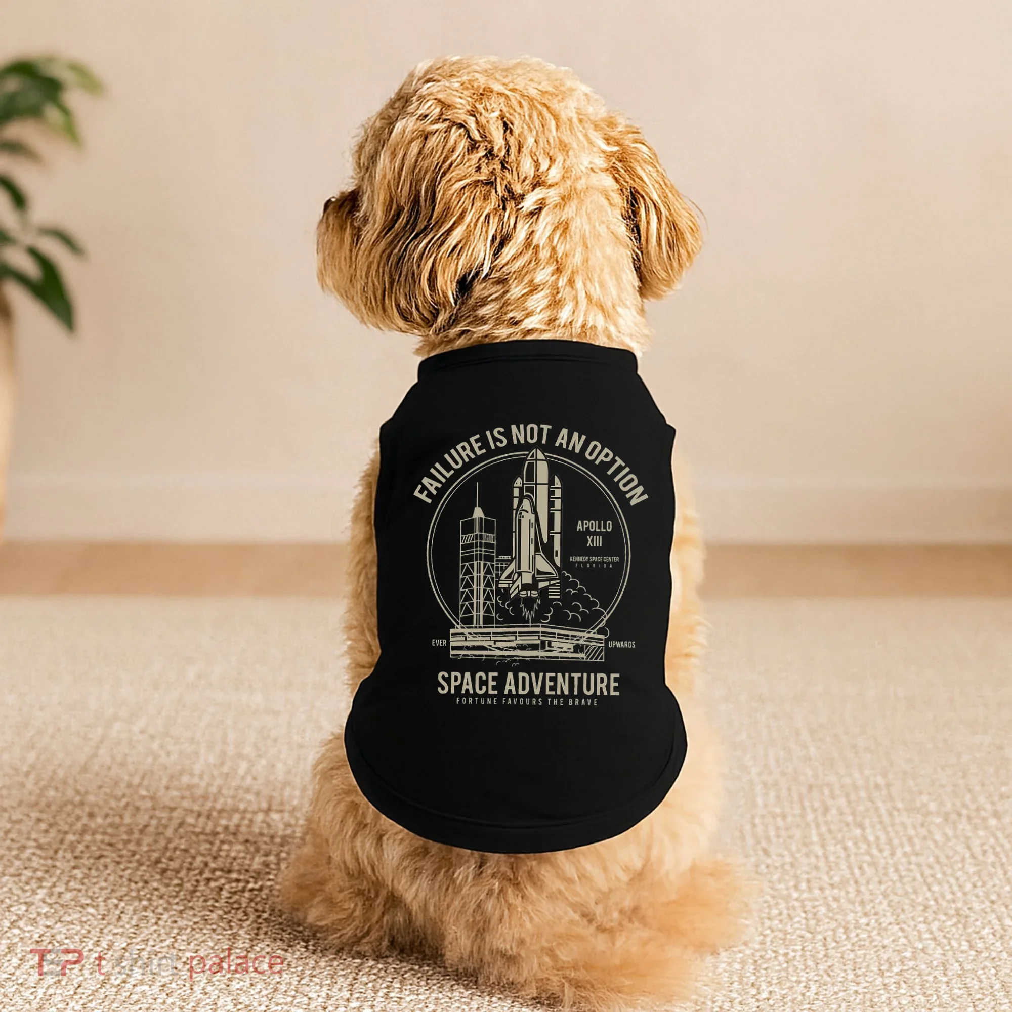 Space Shuttle Ship Launch Doggie Tank