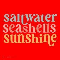 Saltwater Seashells Sunshine Cute Summer Santa Hat thumb 1