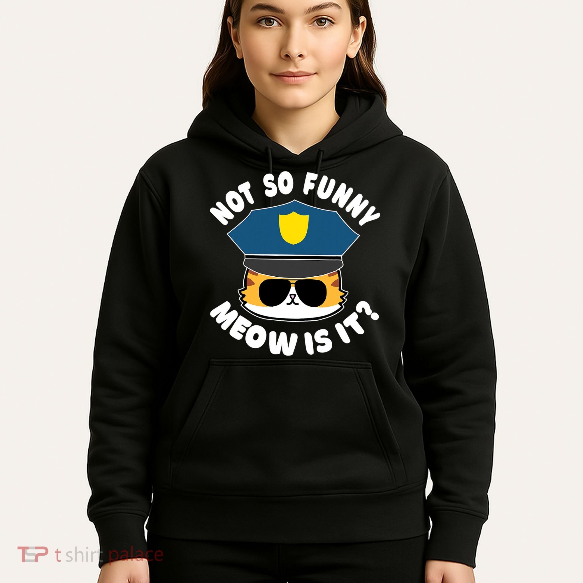 Super State Trooper Funny Cat Not So Funny Meow Is It Hoodie