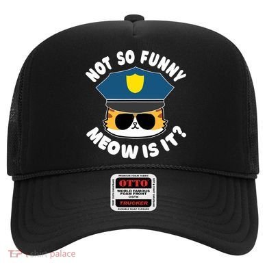 Super State Trooper Funny Cat Not So Funny Meow Is It Hat