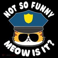 Super State Trooper Funny Cat Not So Funny Meow Is It Kids Hoodie thumb 5
