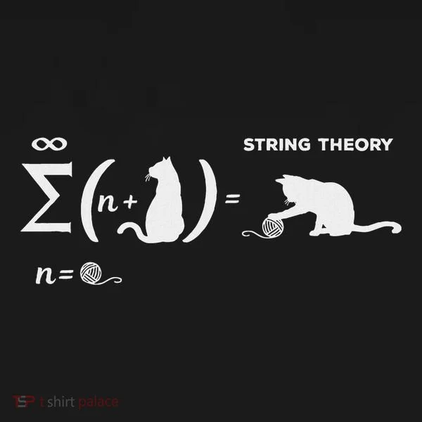 SchröDingers String Theory Cat Physics Quantum Mechanism Women's T-Shirt