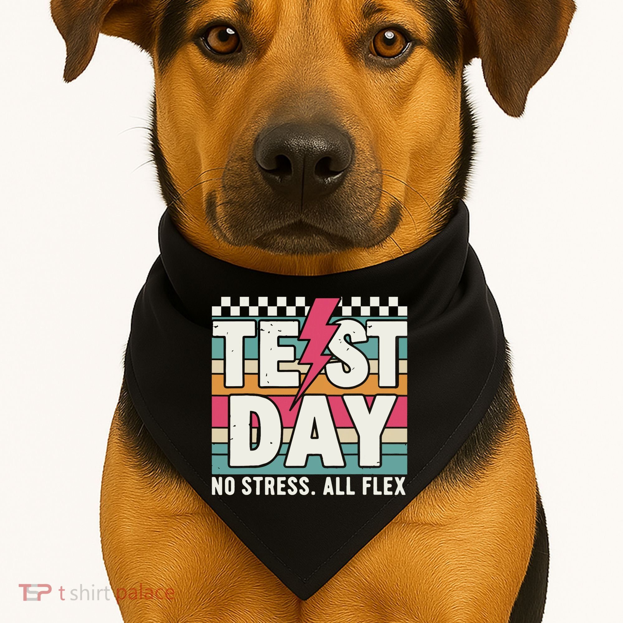 Staar State Test Teacher Testing Day No Stress All Flex USA-Made Doggie Bandana