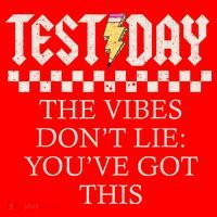 Staar State Testing Day Motivation Dont Lie Youve Got This Santa Hat thumb 1