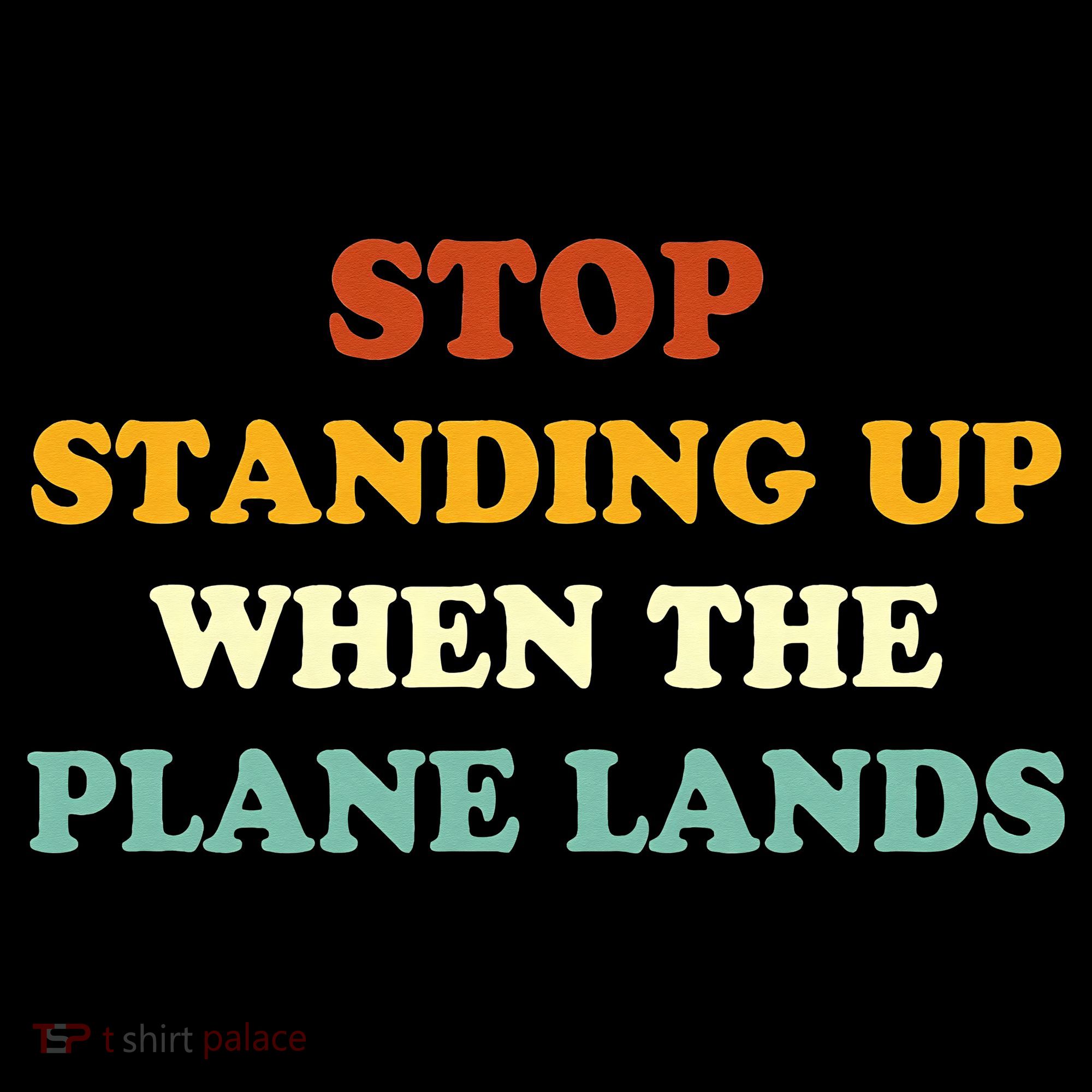 Stop Standing Up When The Plane Lands Women's Hoodie