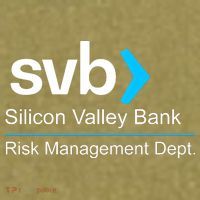 Svb Silicon Valley Bank Risk Management Dept Garment-Dyed Women's Muscle Tee thumb 6